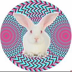 White Rabbit  (Remix by  DJ MiPs)