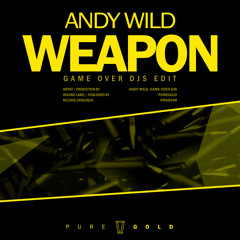 Andy Wild - Weapon (Game Over Djs Edit) // PRGD048