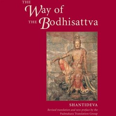 Translating the Way of the Bodhisattva