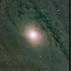 Pulsar PRS B0329+54