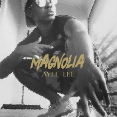 Magnolia(Remix) ft .Ayee Lee