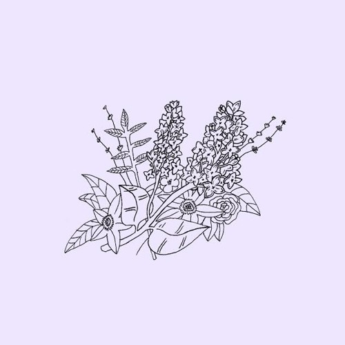 Both Wrong (original)