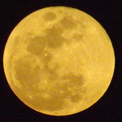 soirée camomille -  stage  #001