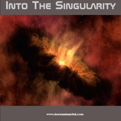 Into The Singularity