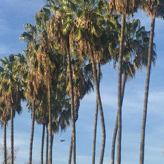 Yung Cortex - good things are coming