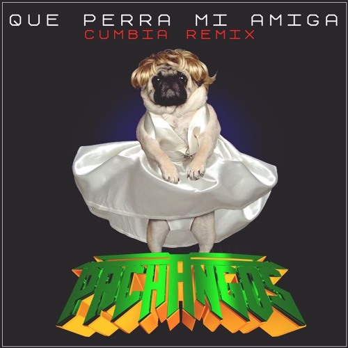 Stream Que Perra mi amiga - remix cumbia - pachangos by Pachangos | Listen  online for free on SoundCloud