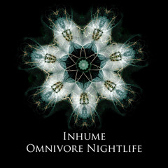 Mookid - Aphex Twin (Omnivore Nightlife remix)