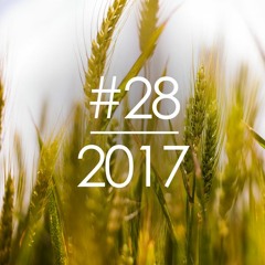2017#28