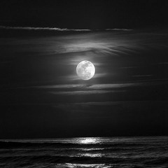 Seedy Jazz - Befor Midnight Mix