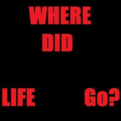 Where Did Life Go