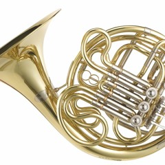 Jim Coyle The Golden Thread