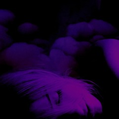 Dreaming In Violet