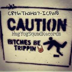 Catfish-ICFWB