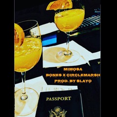 Mimosa ft. CircleMarsh (prod. by Slayo)