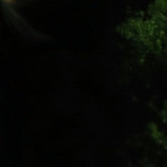 guppi - a thug (neraph remix)