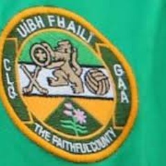 Offaly SHC Look Back