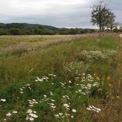 원하고 원망하죠 [want and blame you] (애즈원 AS One)