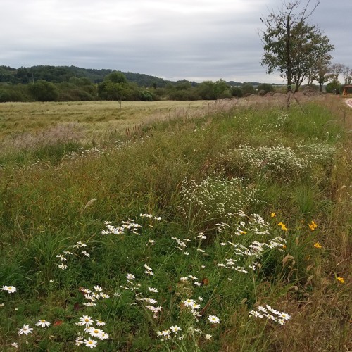 원하고 원망하죠 [want and blame you] (애즈원 AS One)