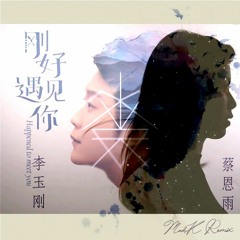 李玉剛 X 蔡恩雨 - 剛好遇見你 (MAD K Remix)