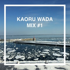 KAORU WADA 40min House mix #1