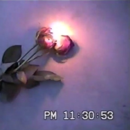 if it's true love... (w/ alwxys.)