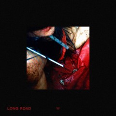 LIL A1DS - LONG ROAD (prod. SOUTHGARDEN)