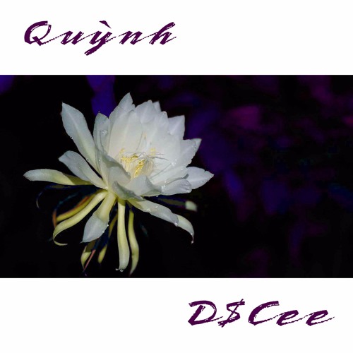 Quỳnh - D$Cee