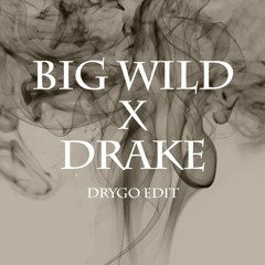 Big wild X Drake 'Drygo Edit'