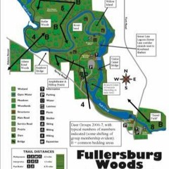 Plenty To See & Do At Fullersburg Woods