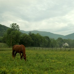 Ep. 2 EXTRA: Eminent Domain