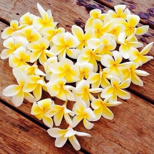 لا إله إلا الله، كنز لكم :)