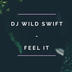 Dj Wild Swift - Feel It