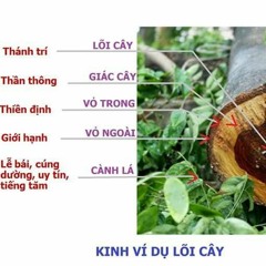 3. Kính gởi Cô Út Diệu Không, Cô Hoàng Diệu Cảnh, Cô Út Nga thân thương