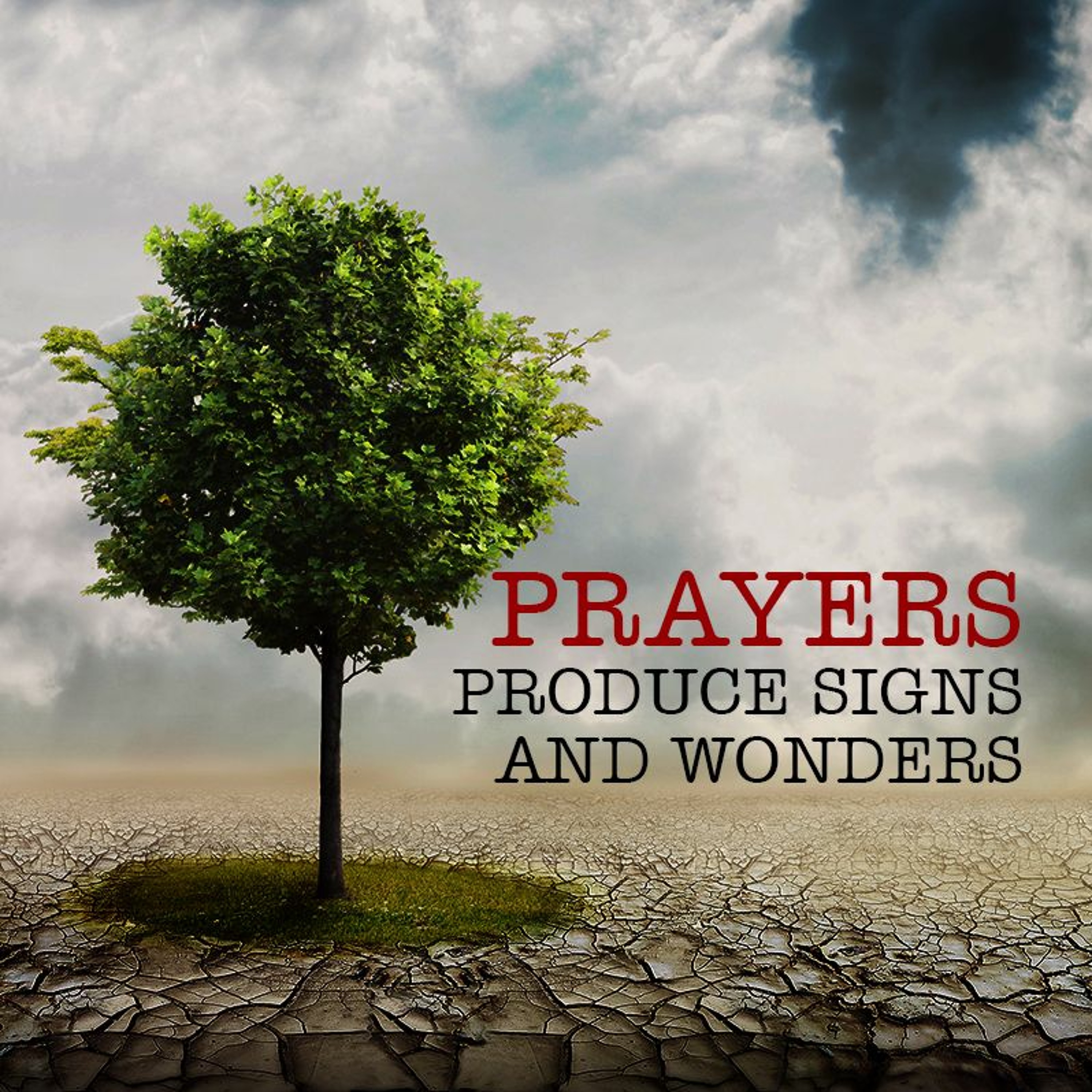 Prayers Produce Signs and Wonders episode artwork