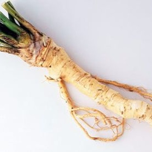 Horseradish