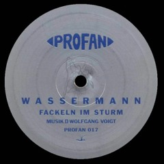 Grungerman - Fackeln Im Sturm