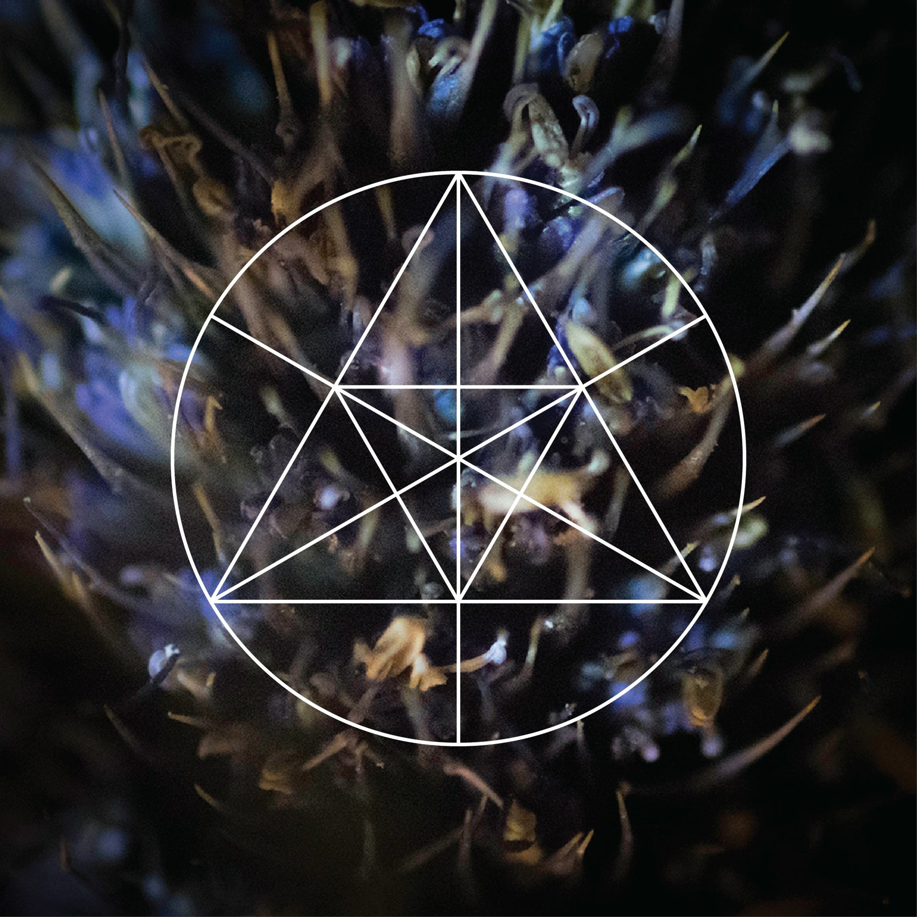 Mysteries of the Deep