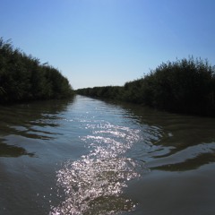 ginuwine - my pony (penthouse89 remix)