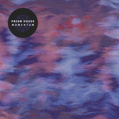 Prism House - Voice of Reason