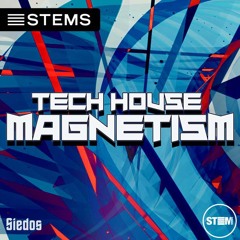 Magnetism (Original Mix)