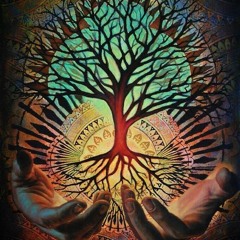 Roots