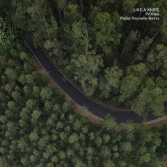 Like A Knife - Pr0files (Pablo Nouvelle Remix)