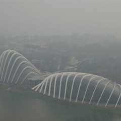 SEA Haze