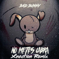Hector El Father Ft Bad Bunny - Tu no Metes Cabra (Xnection Intro Noche De Travesura) 3