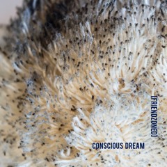Conscious Dream