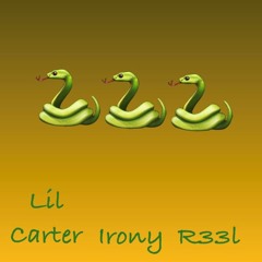 Snakes Feat. Lil Carter and R33L(Prod. Guillermo)