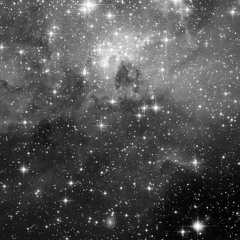 Black SPACE