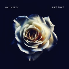 Mal Meezy- Like That