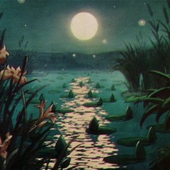 Ｍｏｏｎｌｉｇｈｔ