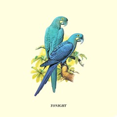 Tonight (feat. Zack Sekoff + Bella Porter)